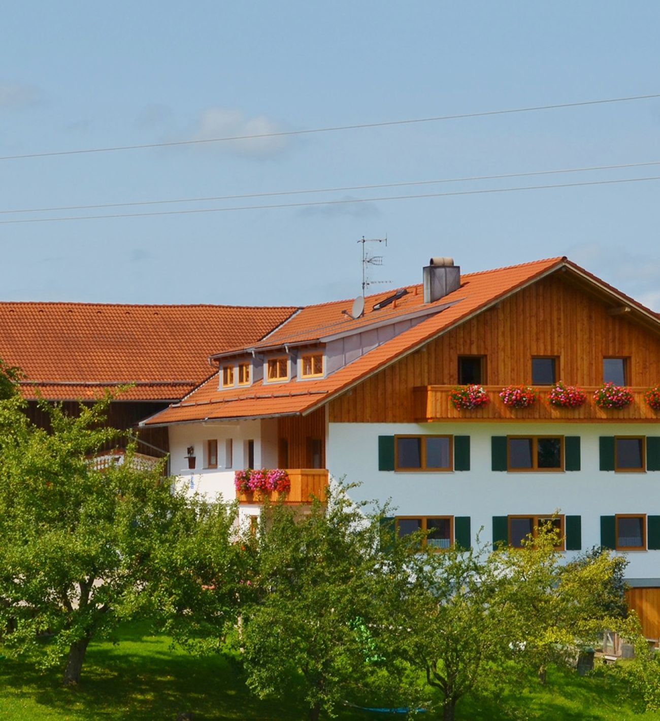 Ferienhof Nägele in Seeg