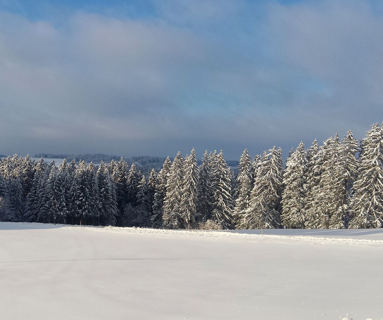 Winterlandschaft bei Seeg, Ferienhof Nägele