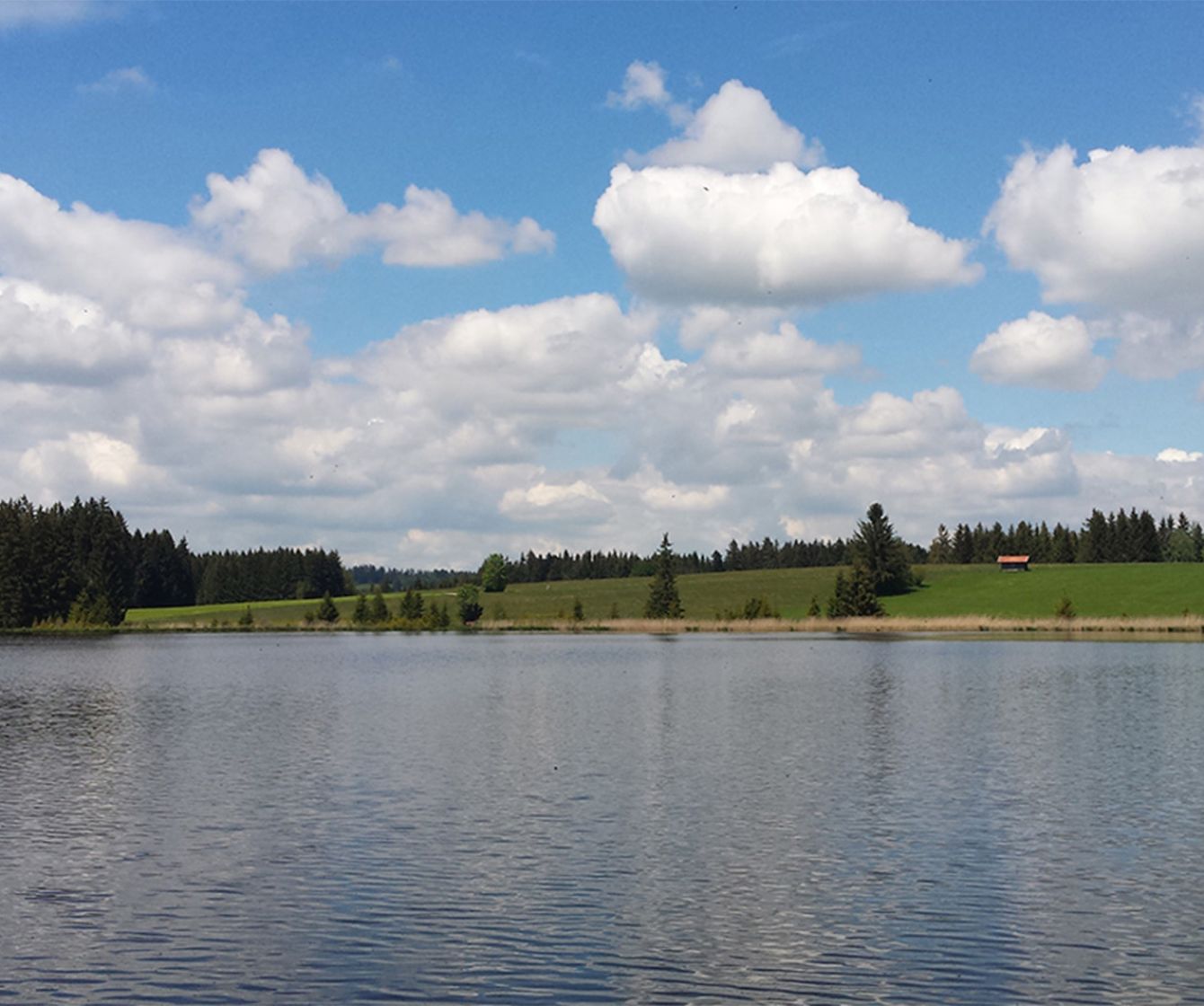 Der Kögelweiher im Allgäu