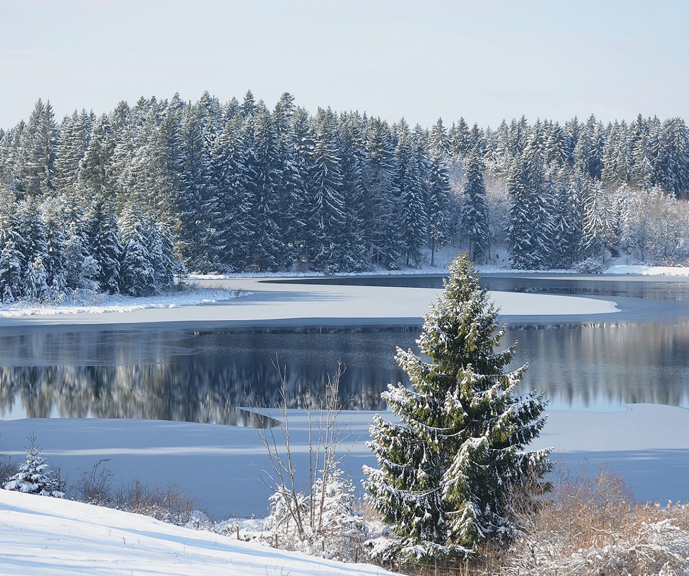Der Kögelweiher im Allgäu